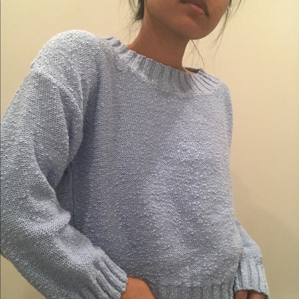 pieszak blue sweater (nwot)